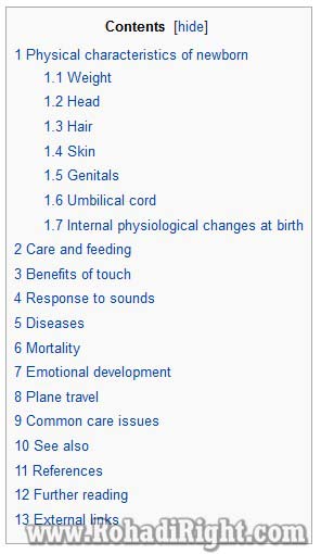 ide keyword research menggunakan wikipedia