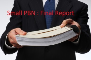 small pbn final report