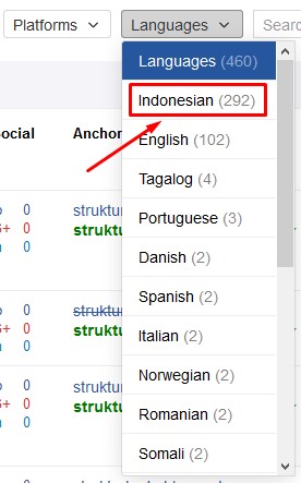 sortir backlink berdasarkan languages